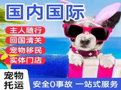 吕梁机场邮寄国际宠物托运 【国